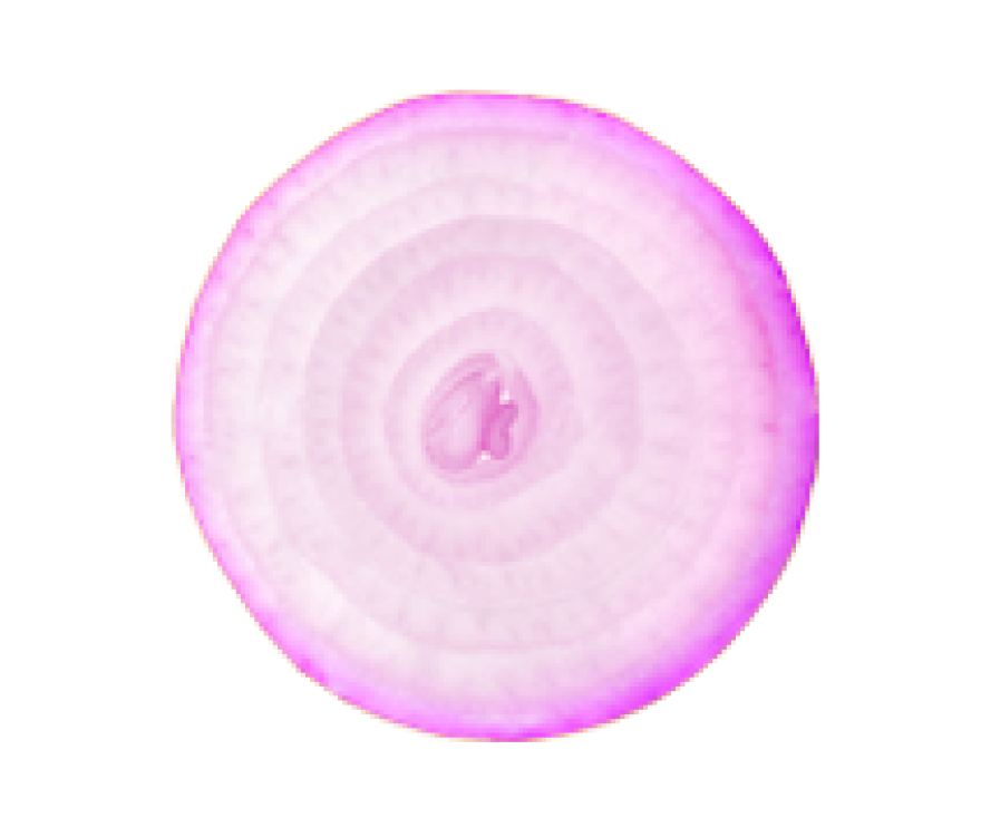 cebola